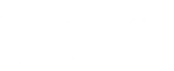 Schlytter Consult